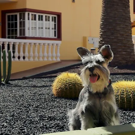 Апарт-отель Maxorata